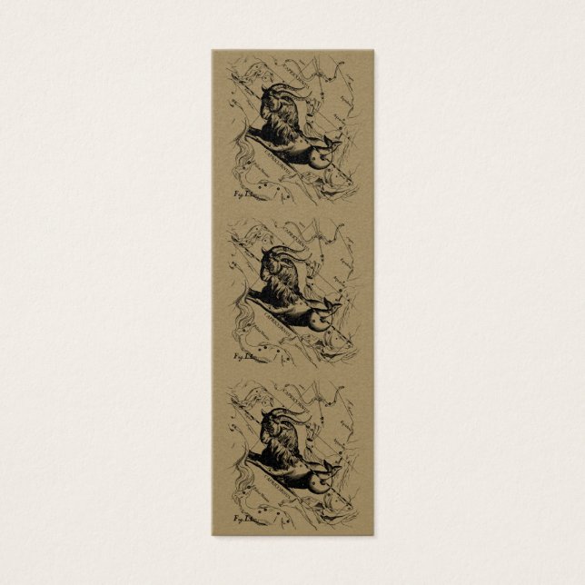 山羊座星座ヘベリアス1690上のタウペ (正面)