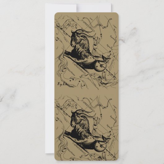 山羊座星座ヘベリアス1690上のタウペ (正面)