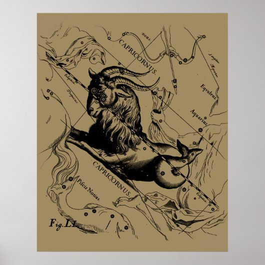 山羊座星座ヘベリアス1690上のタウペ ポスター (正面)