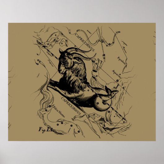 山羊座星座ヘベリアス1690上のタウペ ポスター (正面)