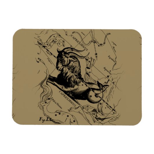 山羊座星座ヘベリアス1690上のタウペ マグネット (横)