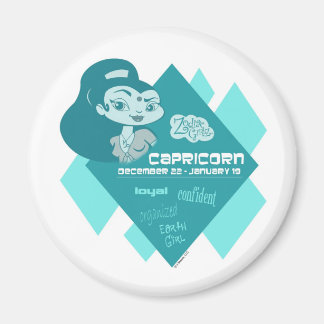 山羊座磁石 マグネット