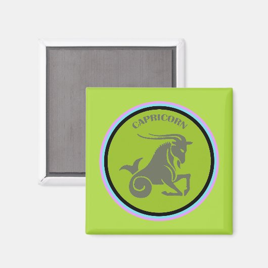 山羊座磁石 マグネット (正面/裏面)
