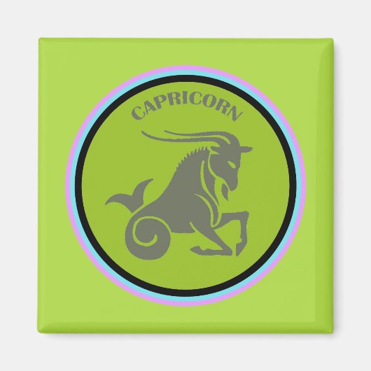 山羊座磁石 マグネット (正面)