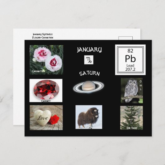 山羊座1月誕生月はがき ポストカード (正面/裏面)