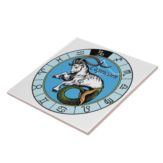 山羊座 タイル (側面)