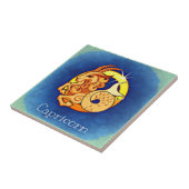 山羊座 タイル (側面)