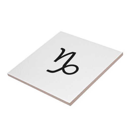 山羊座 タイル (側面)