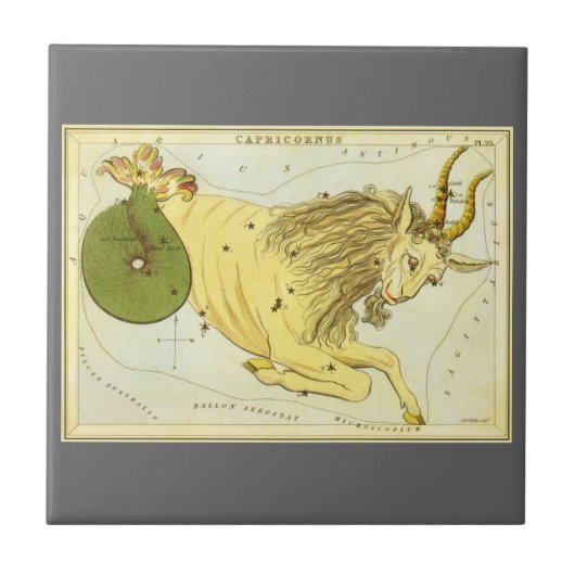 山羊座 ヴィンテージ 星座, ウラニアの鏡 タイル (正面)