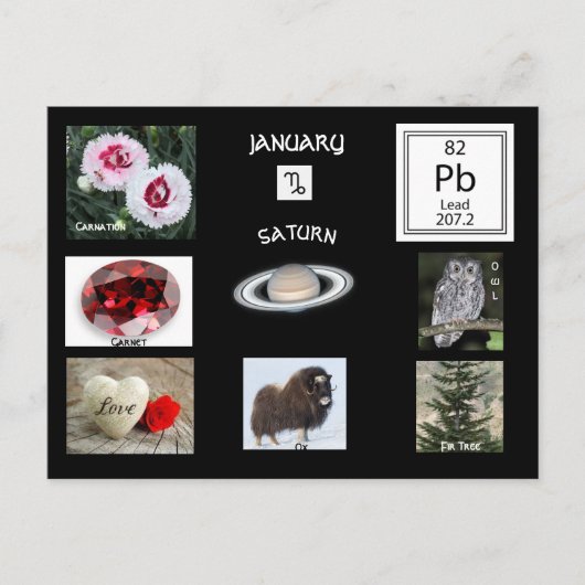 山羊座 1月 誕生月 ポストカード (正面)