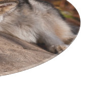 山羊 カッティングボード (角)