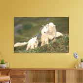 山羊 キャンバスプリント (インサイチュ (リビング))