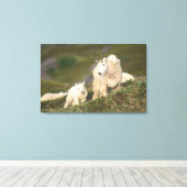 山羊 キャンバスプリント (インサイチュ (ウッドフロア))