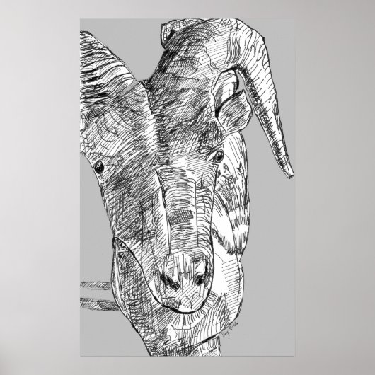 山羊 ポスター (正面)