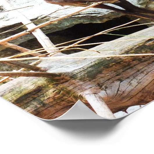 山羊 ポスター (角)