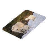 山羊 マグネット (左側)