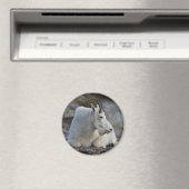 山羊 マグネット (インサイチュ (食洗機))