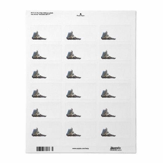 山羊 ラベル (フルシート)