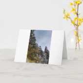 山羊・山羊(76) カード (黄色い花)