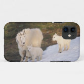 山羊 Case-Mate iPhoneケース (裏面(横))