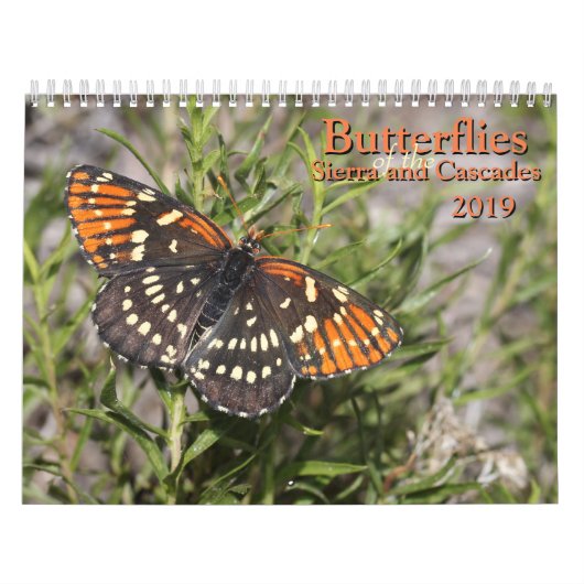 山脈および滝の蝶 カレンダー (カバー)