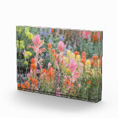 山脈バターミルクの野生の花 フォトブロック (右)