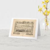 山脈Madre、カリフォルニア(1617A) カード (黄色い花)