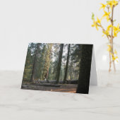 山脈Neveda カード (黄色い花)