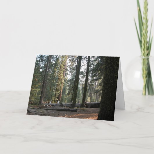 山脈Neveda カード (正面)