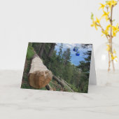 山腹のグリーティングカードの愛着 カード (黄色い花)