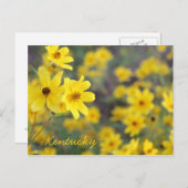 山腹ワイルドフラワーズバイジャージーファウン ポストカード (正面/裏面)