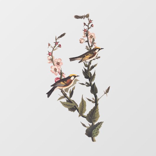 山花に咲く栗の鳥 ウィンドウサイン (シート)