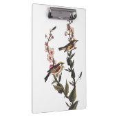 山花に咲く栗の鳥 クリップボード (右)