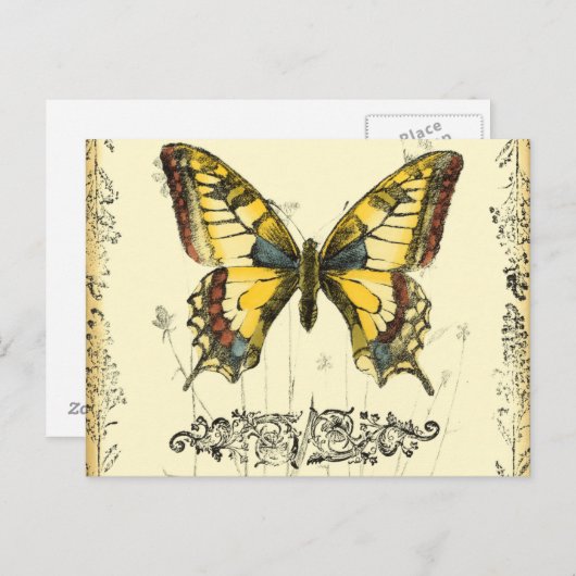 山花飾り蝶 ポストカード (正面/裏面)