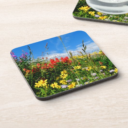 山花 コースター (左側)