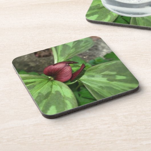 山花 コースター (左側)