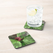 山花 コースター (右側)