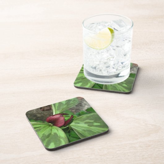 山花 コースター (右側)