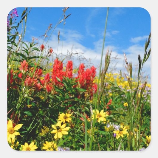 山花 スクエアシール (正面)