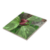 山花 タイル (側面)