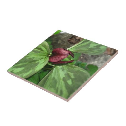 山花 タイル (側面)