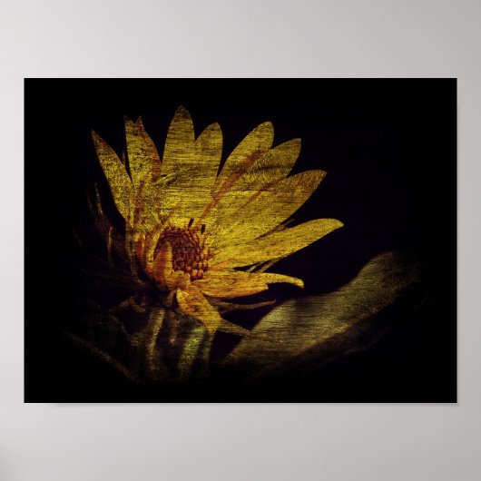 山花 ポスター (正面)