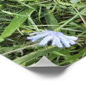 山花 ポスター (角)