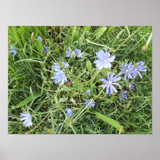 山花 ポスター (正面)