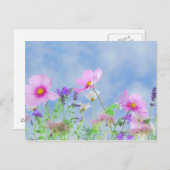 山花 ポストカード (正面/裏面)
