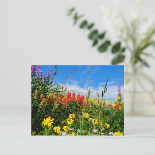 山花 ポストカード (スタンド正面)