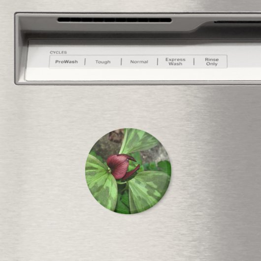 山花 マグネット (インサイチュ (食洗機))