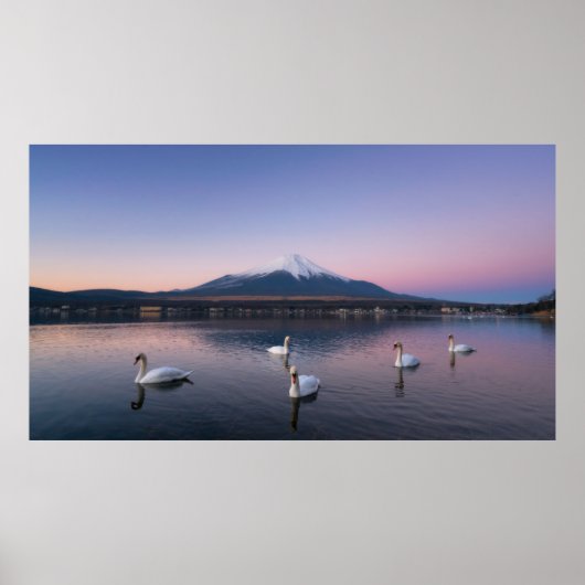山藤 |ヤマナカ湖と白鳥 ポスター (正面)