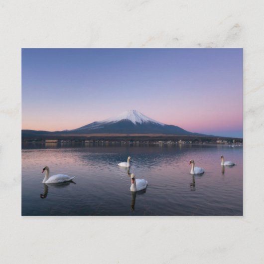 山藤 |ヤマナカ湖と白鳥 ポストカード (正面)