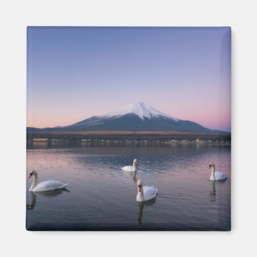 山藤 |ヤマナカ湖と白鳥 マグネット (正面)